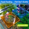 Fixed Point Feeding Fish Tank Feeder Anti-Scatter Design Feed Holder  Saltwater Marine Tank