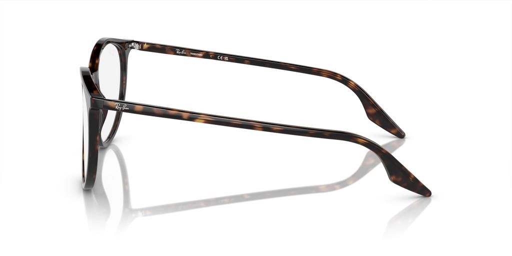 Sunglasses RB2204F Asian Fit [Ray-Ban]