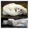 Falkor From The Neverending Story Plush Lucky Dragon Toy Pp Cotton Filling Home Decor Kids Gift