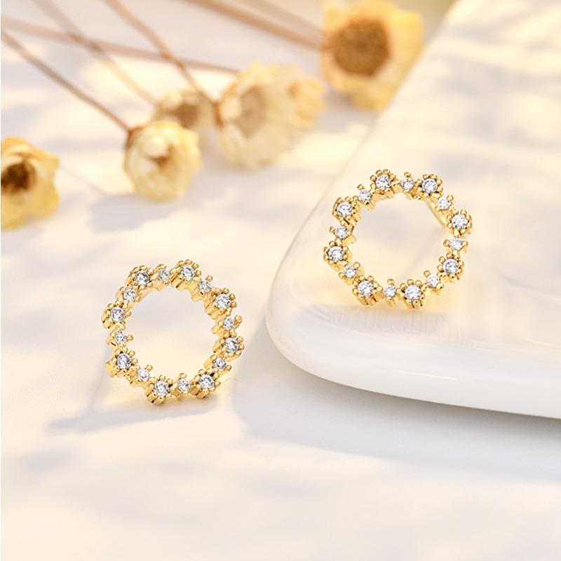 New Zircon Ring Earrings for Women Simple Niche Design and Personalized Versatile Earrings Trendy Earrings