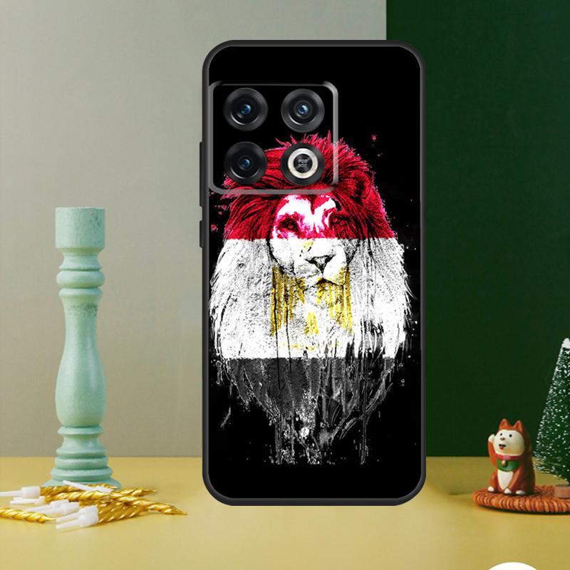 Egypt Flag Case For OnePlus Nord CE 4 2 3 Lite N20 N30 9 10 Pro 8T 9RT 10T 10R 12R 13R 11 12 13 Cover