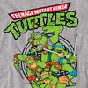 Teenage Mutant Ninja Turtles Unisex Adult Group T-Shirt