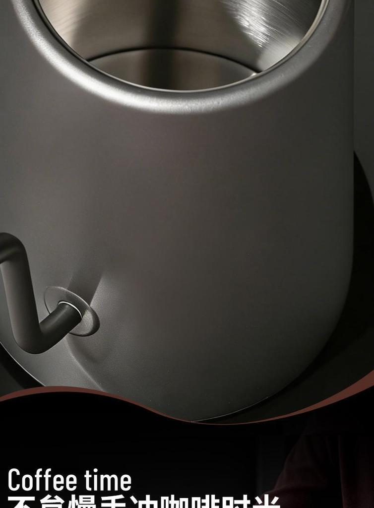European Gooseneck Electric Kettle - 304 Stainless Steel Pour-over Coffee Pot with Long Spout