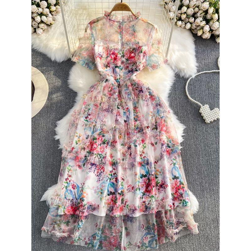 Accessible Luxury A- line Gauzy Dress Elegance Dress Short Sleeve