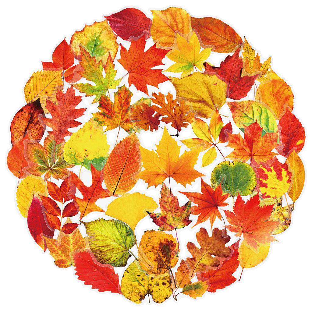 50PCS Plant Leafy Maple Leaf Stickers Transparent PET Waterproof DIY Stationary Notebook Personalized Decor Stickers