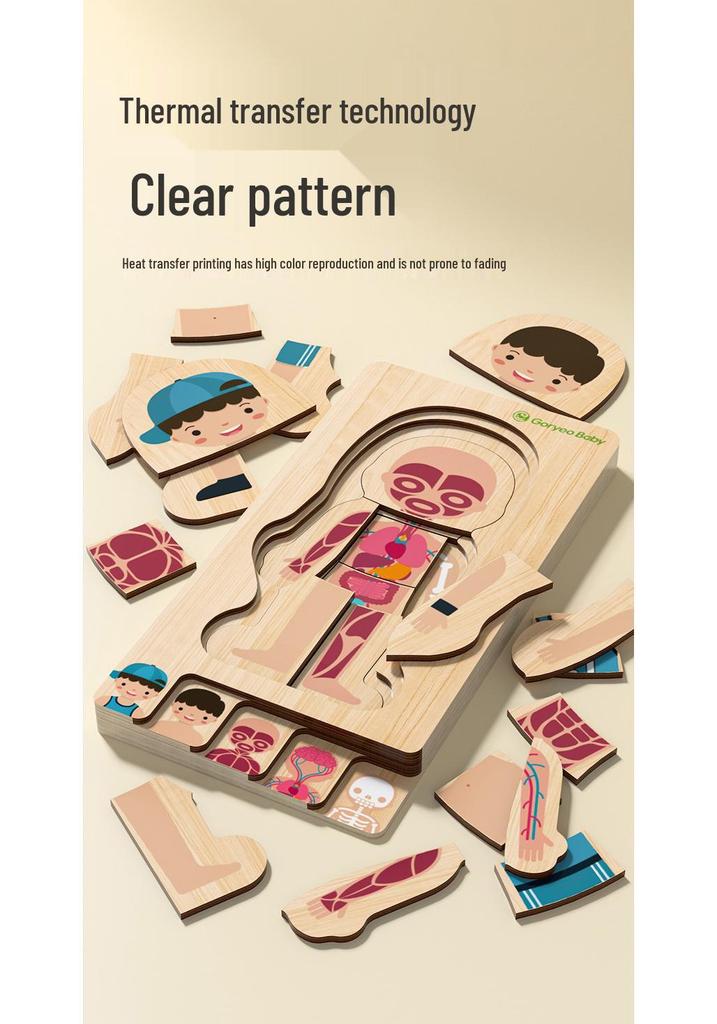 GoryeoBaby Wooden Human Body Puzzle - Children's Educational Toy