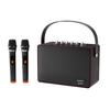 Newmine K222 Portable Bluetooth Karaoke Speaker with Dual Microphones