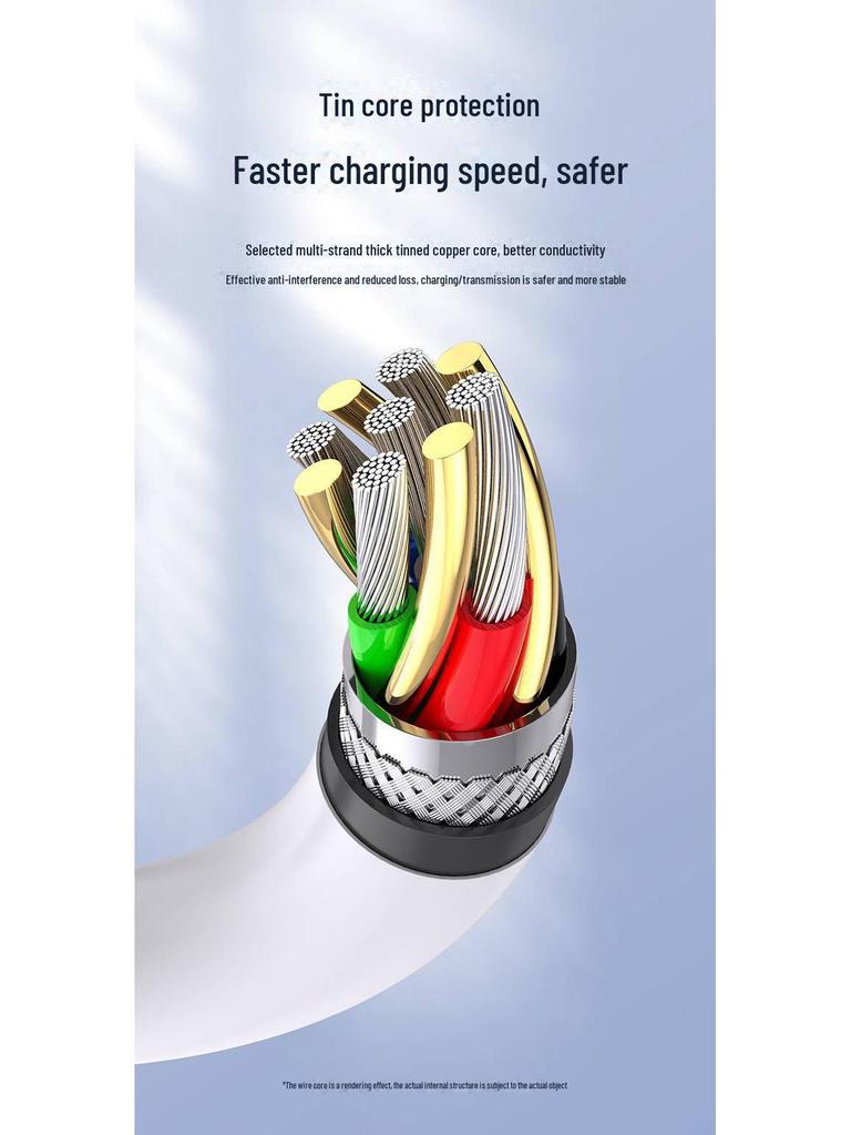 PISEN Dual-Head Type-C Charging Cable for iPhone 15 Pro Max & iPad Pro