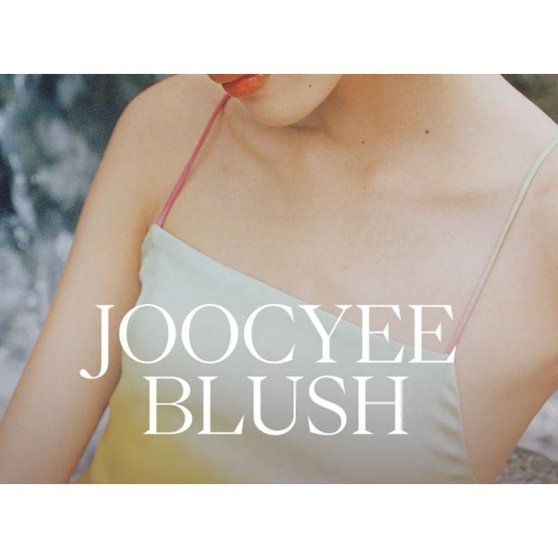 JOOCYEE - Spiral Shell Highlighter