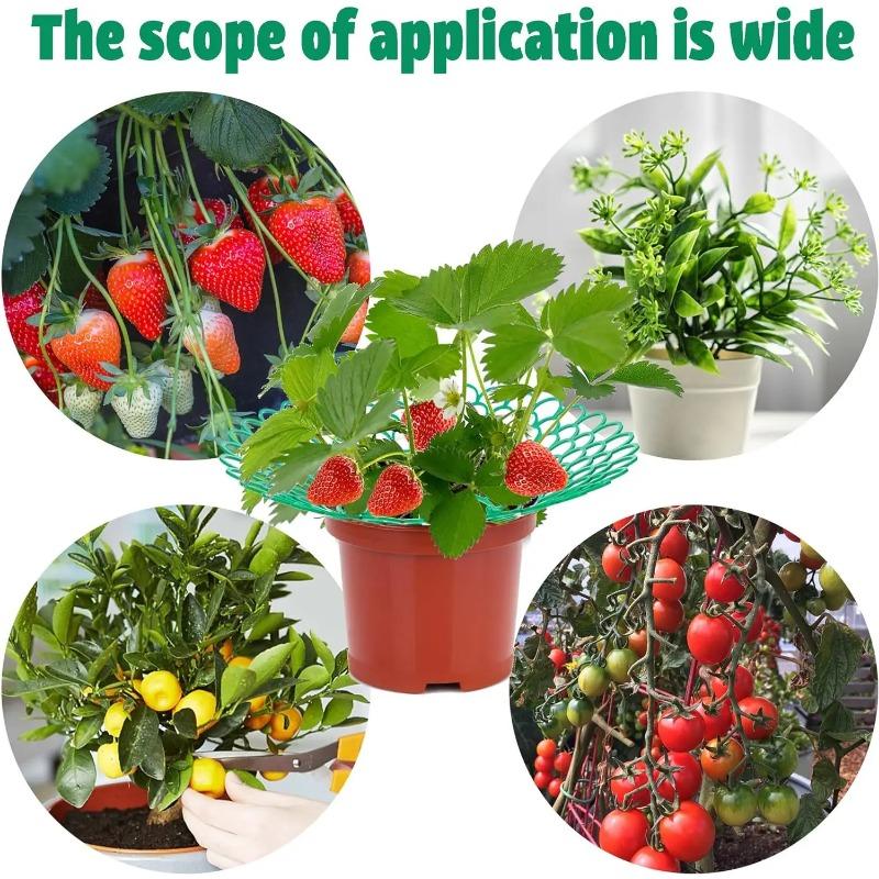 2/5/10Pcs Strawberry Support Stands with 3 Sturdy Legs Strawberry Growing Racks Berries Growing Frame Holder for Garden Homegrow