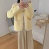 Imitation Mink Knitted Cardigan Women's New Autumn and Winter Temperament Sweater Jacket Women