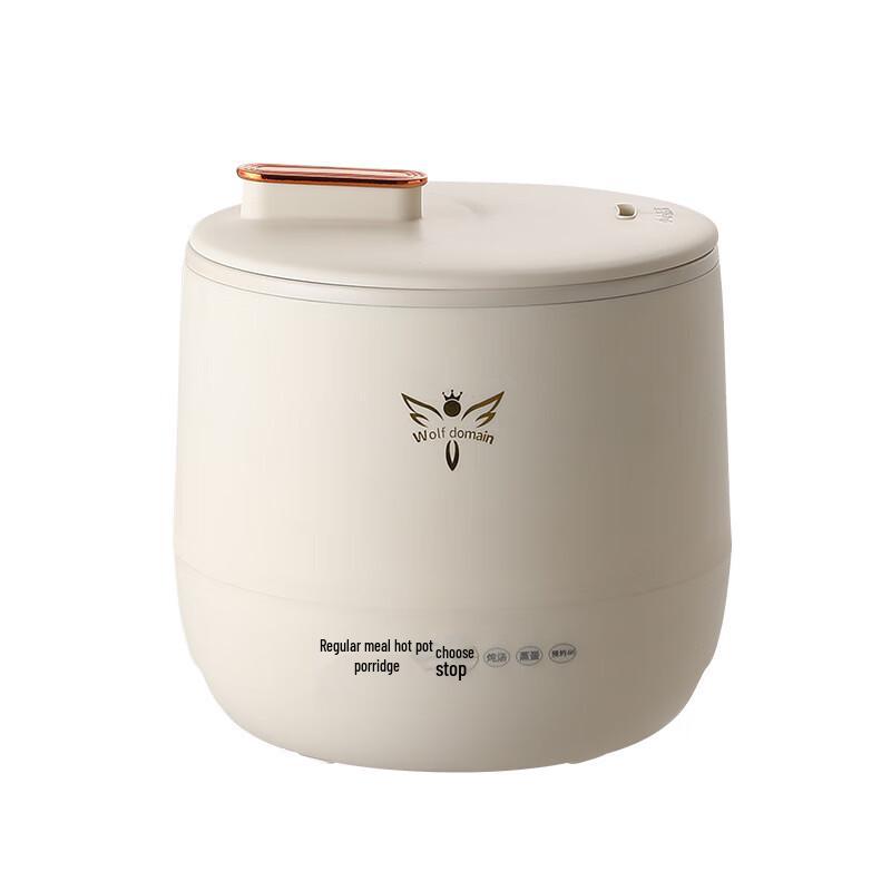 Mini Multi-functional Rice Cooker