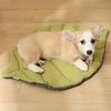 1/2PCS Leaf Shaped Pet Mat Washable Soft Non-Slip Sleeping Pad for Cats and Dogs Reversible Portable Travel Camping Pet Bed