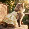 Roupa e sapatos – Vestidos para cães