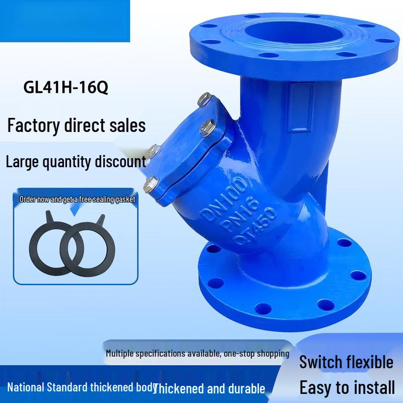 DN80 Gusseisen Y-Form Flanschfilterventil