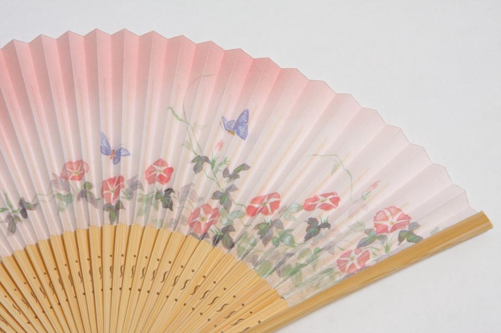 Folding Fan with Fan Gift Box Made in Japan [Hasegawa] Women's Case, Included, (Morning Glory)