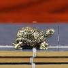 Statuie broasca testoasa din cupru pur Figurine broasca testoasa din alama vintage ornament Feng Shui de birou Miniaturi Ceai antic Artizanat pentru animale de companie Cadouri