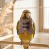 Adjustable Parrot Costume Vintage Style Bird Flight Suit Decorative Parrot Dress Up  Pet Party