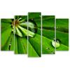 Five Piece Picture Canvas Print Leafy Rosy Drops