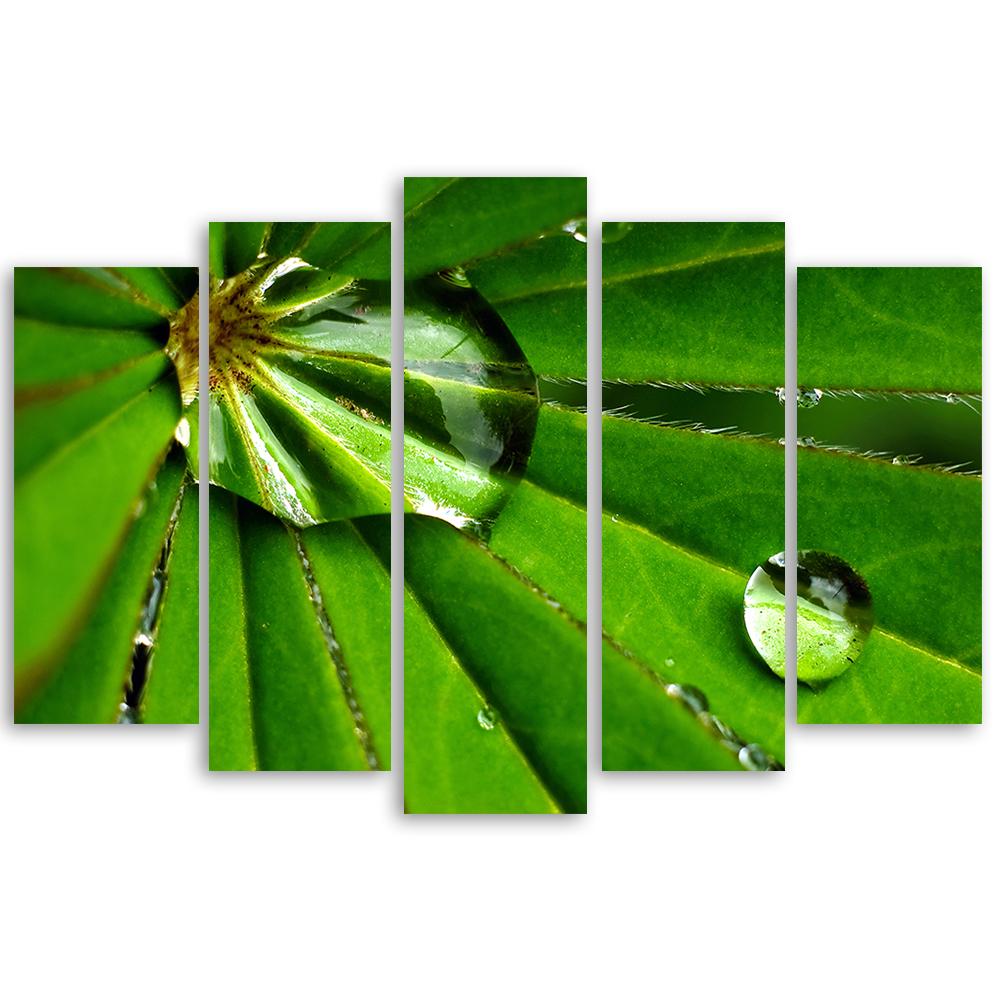 Five Piece Picture Canvas Print Leafy Rosy Drops