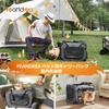 FEANDREA Haustiertransporttasche Hunde Katzentransporttasche Transportbox Faltbar 50 x 35 x 35cm Grau PDC50G01