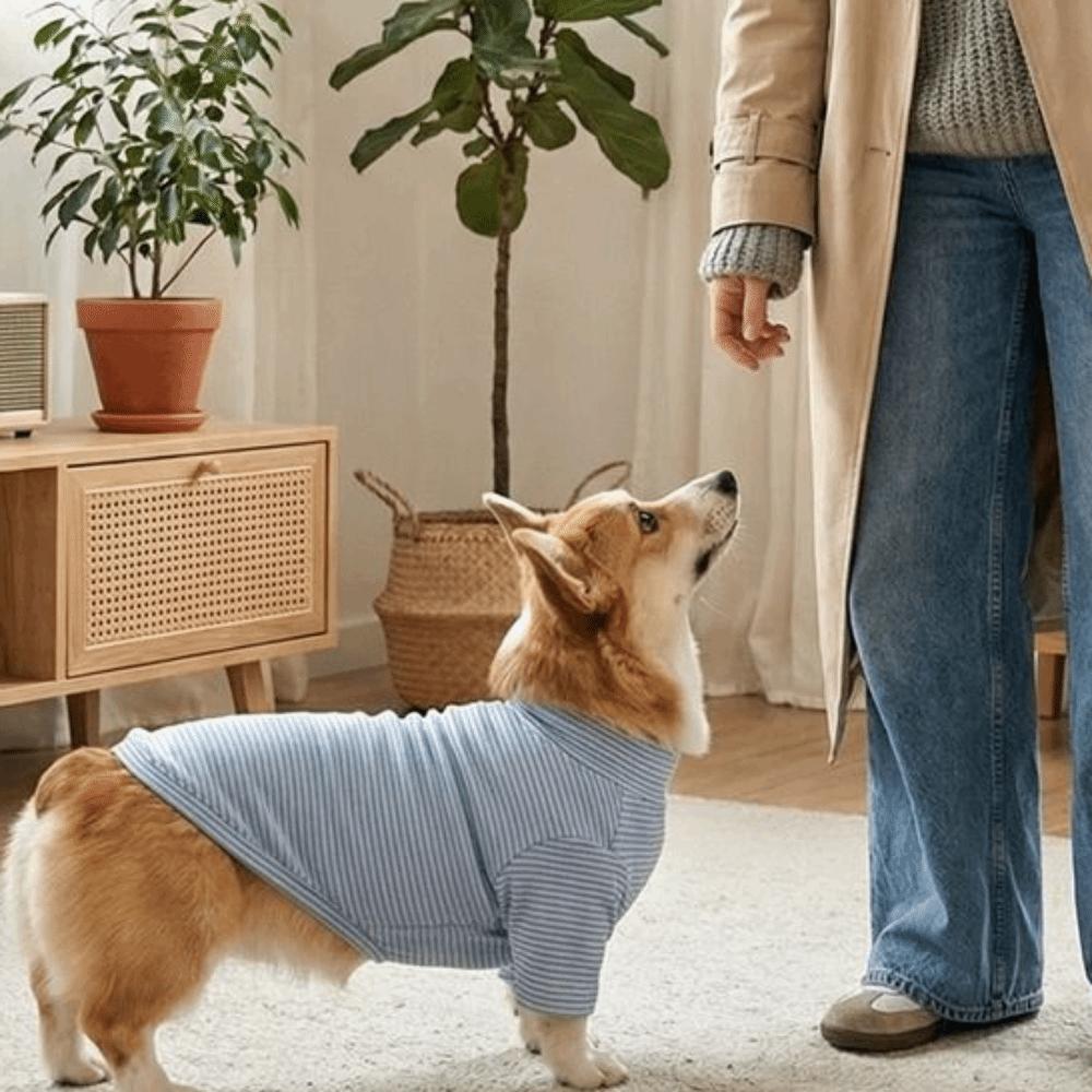 Striped Pattern Pet Bottoming Shirt High Collar Pet Pullover Puppy Hoodies  Outdoor Protection