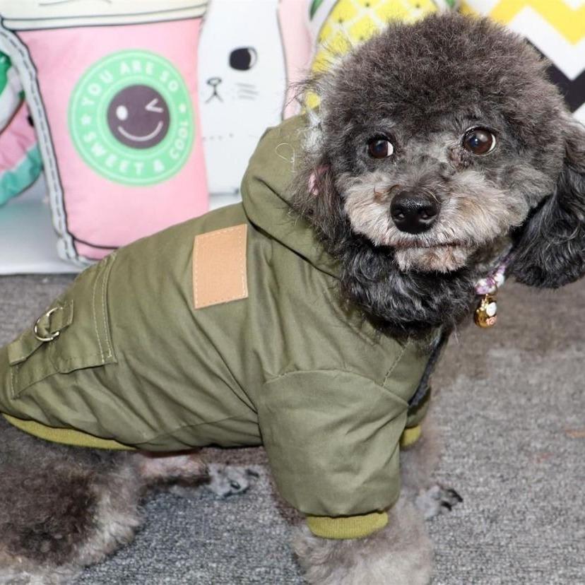 Vestiti invernali per cani, cucciolo, cappotto per cani, giacca per cani di piccola e media taglia, caldo, con cappuccio, per chihuahua e yorkshire, abbigliamento per animali domestici
