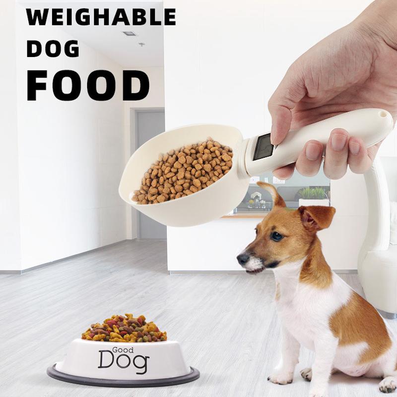 dog feeding cup