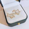 Kleine frische fünfzackige Sternohrringe Trendige mikrobesetzte Modeohrringe Weibliche kalte Wind Wildohrringe Damenmodeschmuck Geburtstagsgeschenk