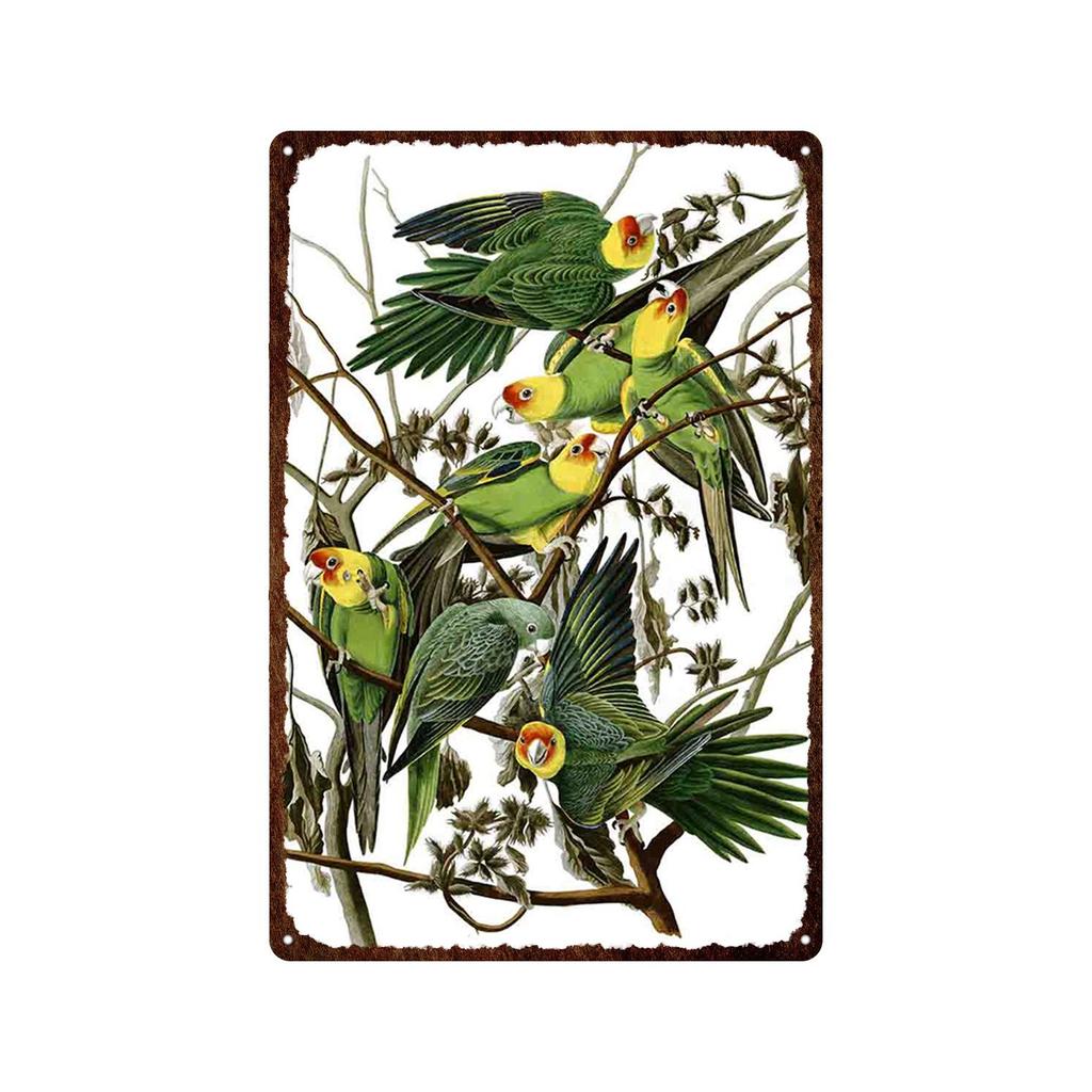 Mfoever Tin Sign Bird Flower Variety Sign Metal Sign Vintage Tin Sign Bar Vintage Wall Decor Bar Club Man Cave Metal Poster