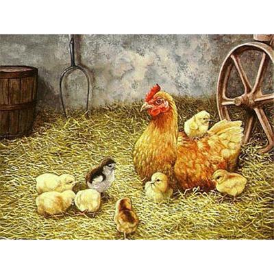 Pittura Diamante 5D Trapano Rotondo Completo Fattoria Pollo Ricamo Diamante Punto Croce