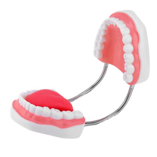 6X Enlarged Dental Teaching Model with Tongue Removable Teeth for Brushing Practice PVC Oral Demo Tool for Kids Students