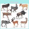 Figurinhas de Animais Selvagens de Plástico Estático de Qualidade Premium, Incluindo Modelos de Antílope e Veado para Decoração de Casa e Uso Educacional