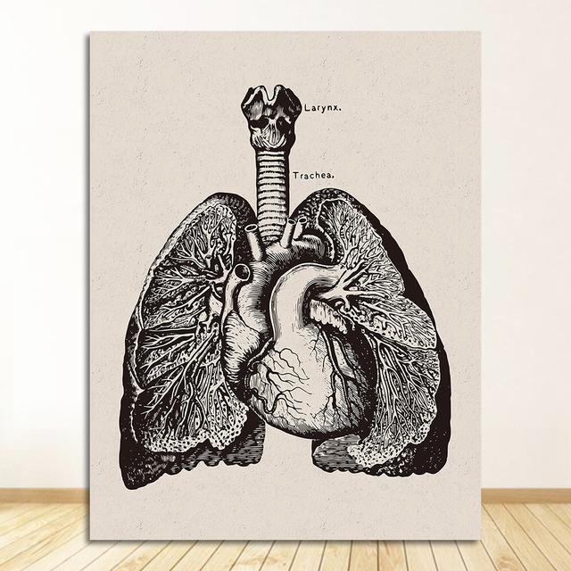 Vintage-Poster und Drucke, Arztbüro, Dekoration, Skelett, anatomischer Schädel, Leinwandgemälde, menschliche Anatomie, Wandkunst, Krankenhaus
