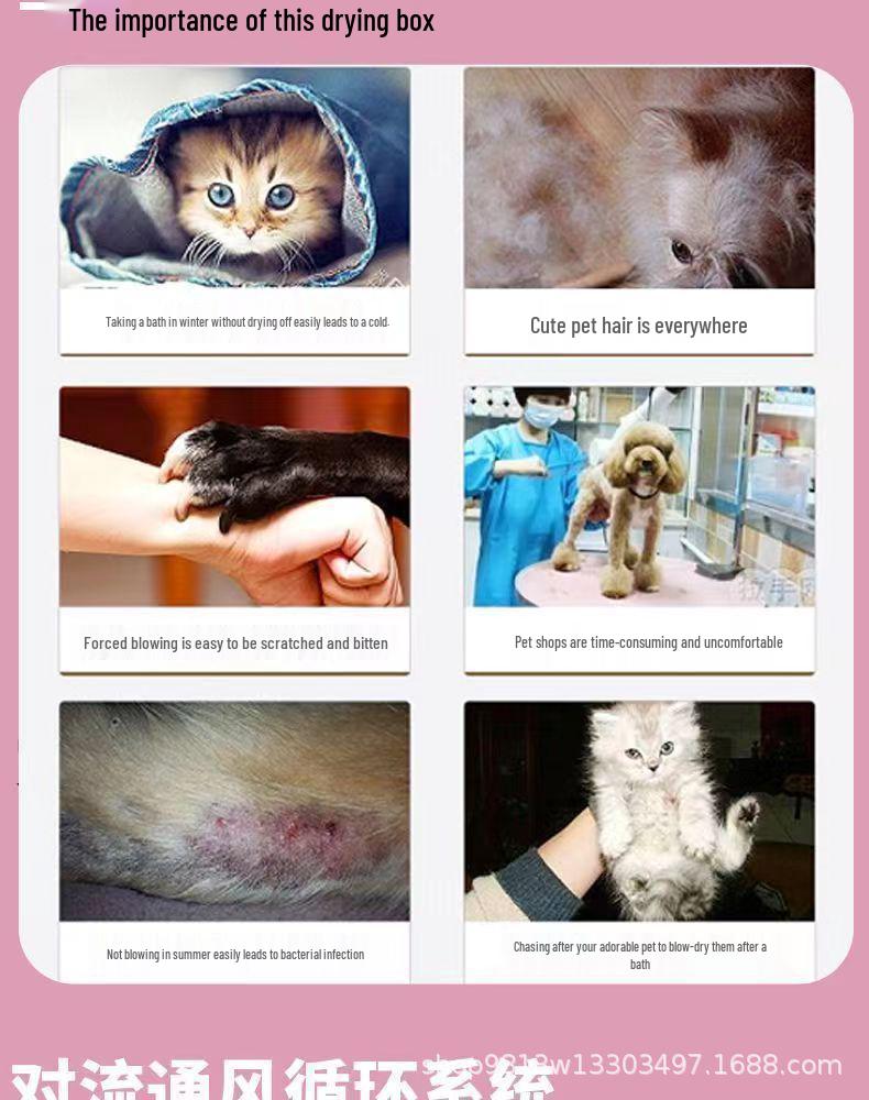 Tragbare Faltbare Haustier-Trockenbox: Katzen- & Hunde-Fön für den Heimgebrauch