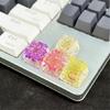 Colorful Flower Resin Keycap for Mechanical Keyboard with Backlights Computer Keyboard Keycaps Replaces