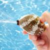 Realistic Shell Water Squirt Toy Clam Style Press Water Gun Outdoor Pool Beach Water Play Toy Random Design Included
