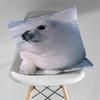 Animal Seal Cute Throw Pillow Case Living Room Sofa Cushion Cover For Home Bedroom Decoration Protector