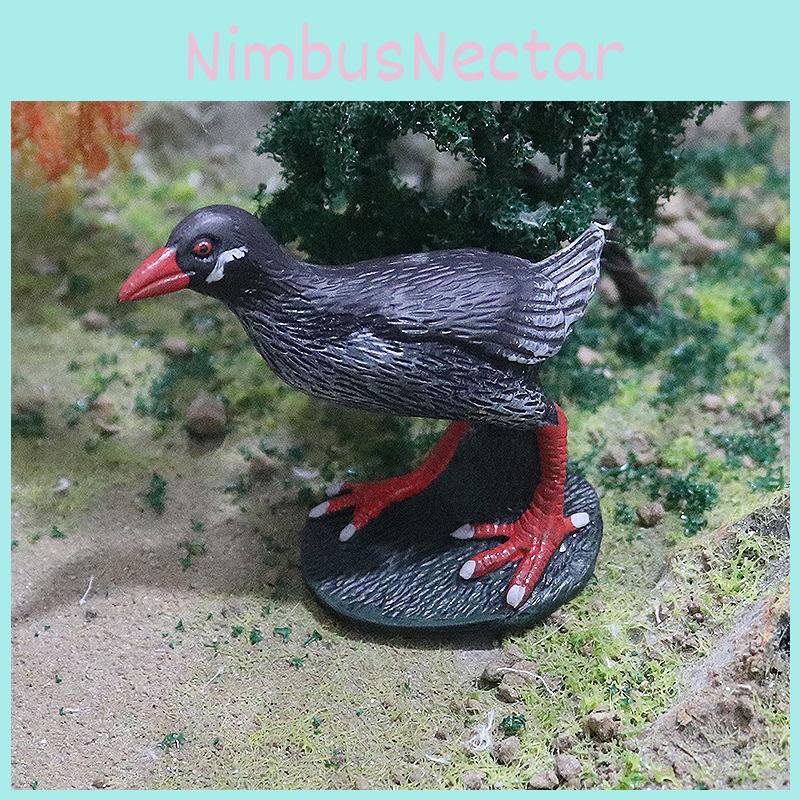Animal Model Toy Pack With Realistic Poultry Figures For Educational Play And Collection