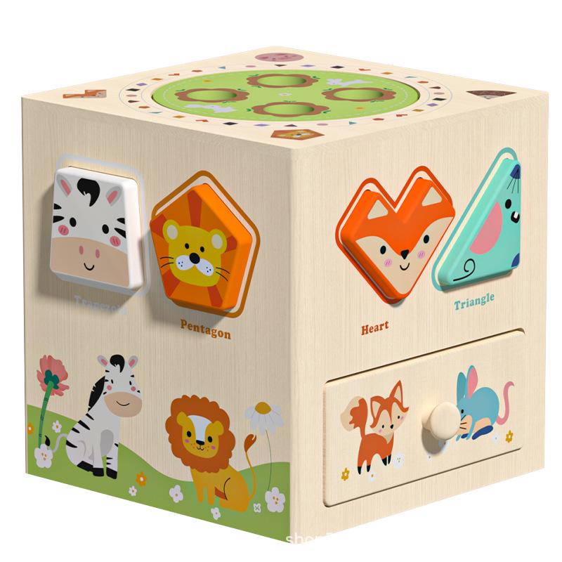 Wooden Geometric Shape and Matching Blocks for Early Childhood Education