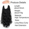 European & American Long Curly Water Wave Wigs for Women - Seamless Hair Extensions