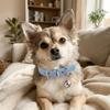 Metal Buckle Denim Dog Collar Soft Leather Adjustable Puppy Jean Collar Quick Release with Bell Pet Necklace For Dogs Cats
