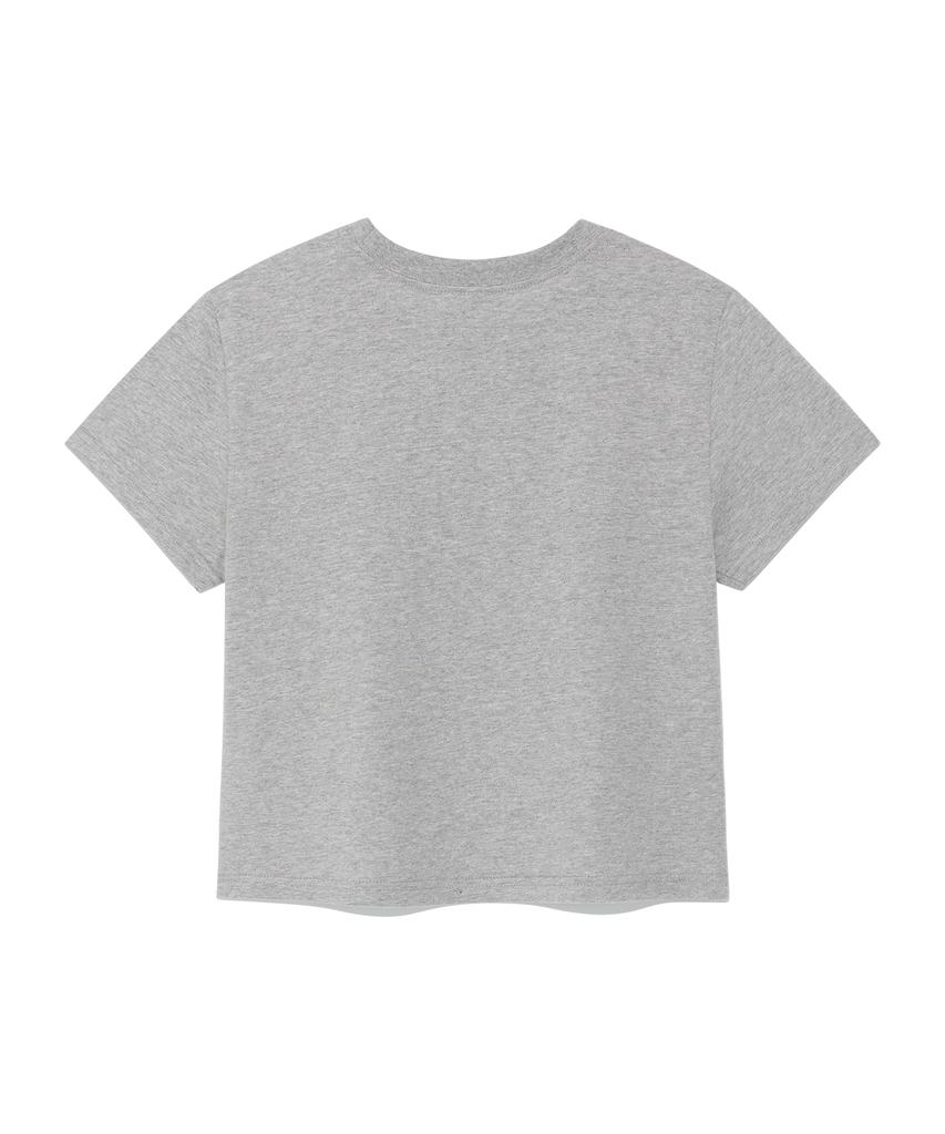THE COLDEST MOMENT (W) Tcm Print Crop T (Melange Gray)