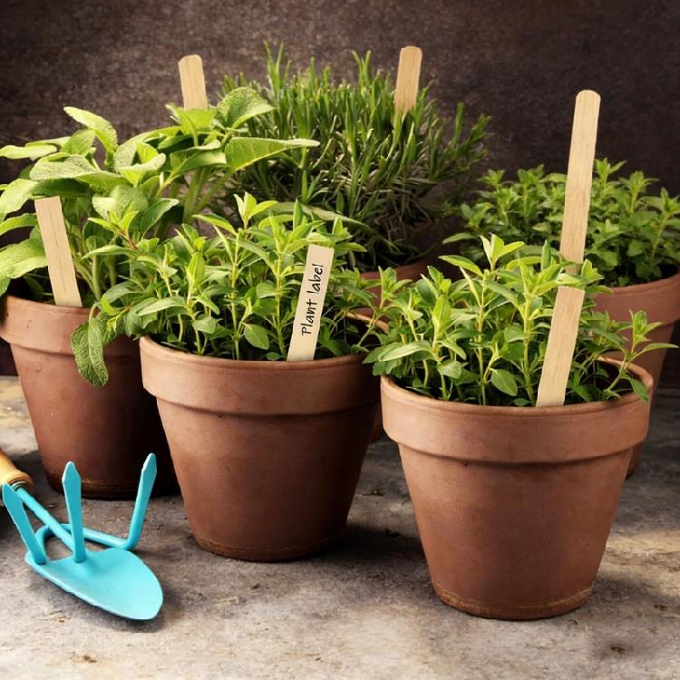 100Pcs Weather Resistant Wooden Garden Stakes Wooden Garden and Sign Post for Plant Support Fence Yard Gardening