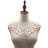 Detachable Embroidered Collar Flower Hollow Lace Fabric Fake Shirt Collar Milk Silk High Quality Women Lace Neckline