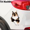 Tri Koshki KCS574 3D Calico Cat in the Wall Samolepka do auta Samolepka z PVC Samolepka na nárazník auta Laptop Nástěnné dveře Koupelna Ložnice