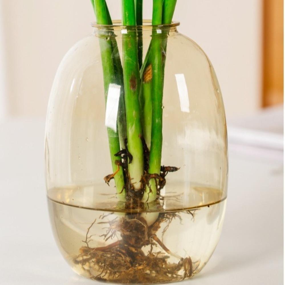 New Plastic Flower Bottle Transparnt Home Decor Aromatherapy Bottle Desktop Glass Flower Vase