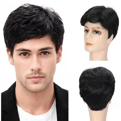Synthetic Mix Short Wig for Men Highlights Wigs with Bangs Heat Resistant Old Man Wig Father Gifts