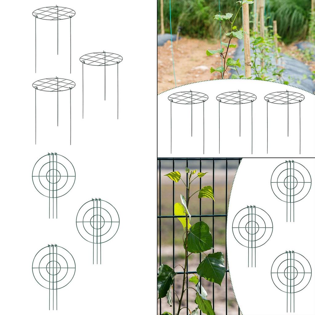 Metal Peony Support Cages Sturdy Flower Rings for Garden Safety Tomato Hydrangea Plant Support Stakes