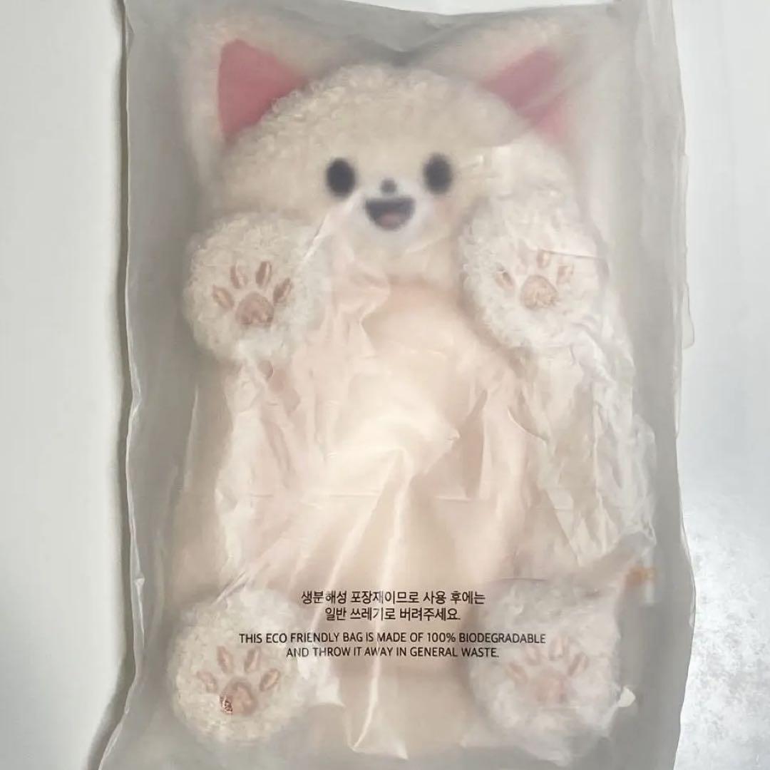 

[Б/У] Официальный холдер/кейс для торговых карточек Stray Kids Foxxy Ien